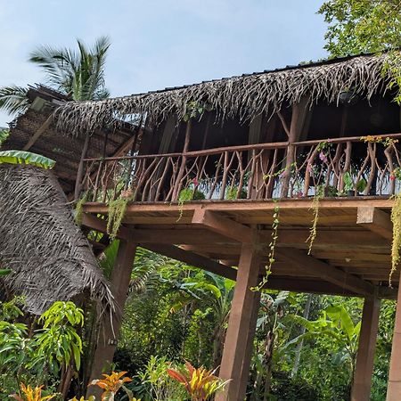 Вілла Sigiriya Rock View Tree House Екстер'єр фото