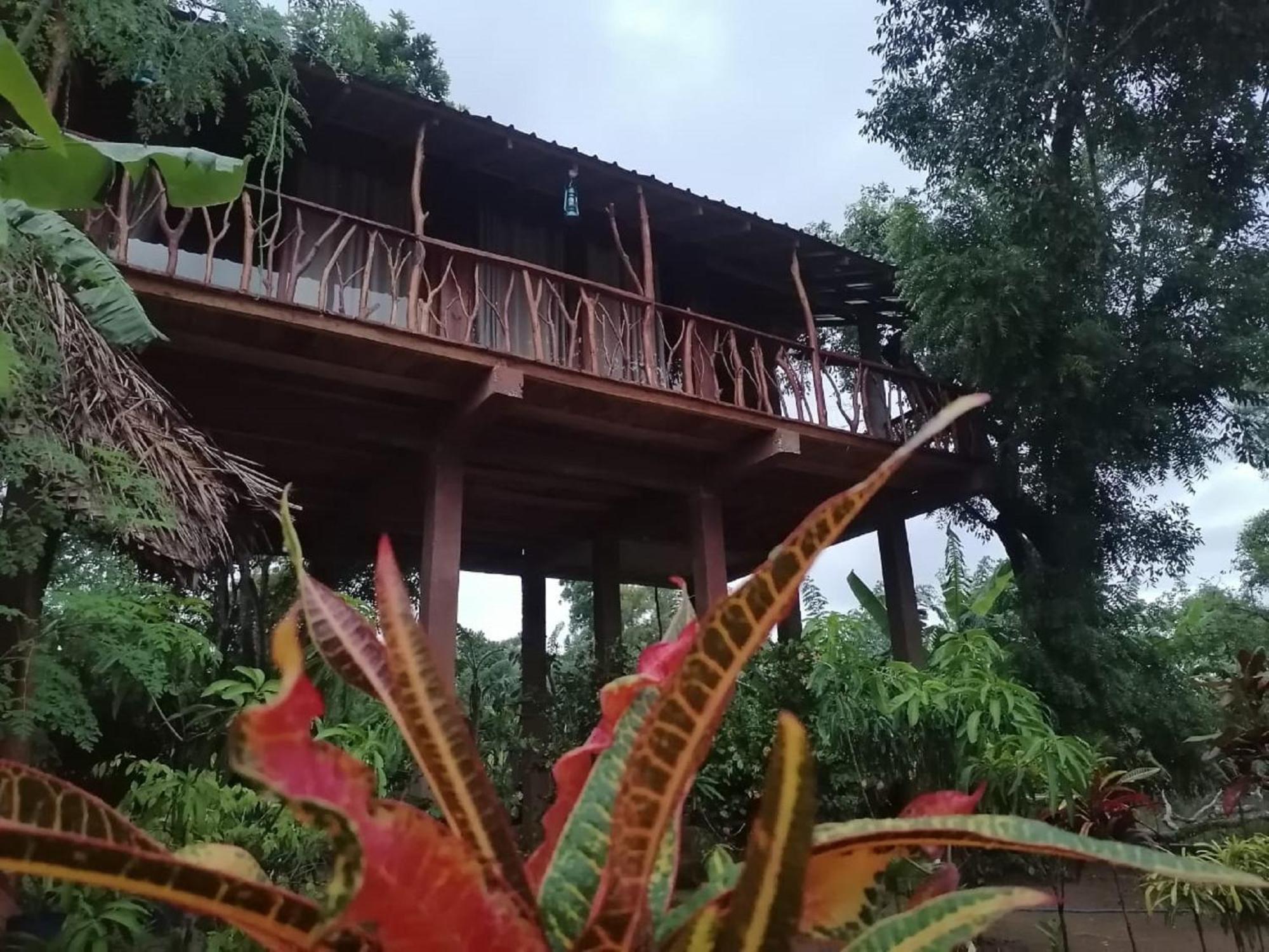 Вілла Sigiriya Rock View Tree House Екстер'єр фото
