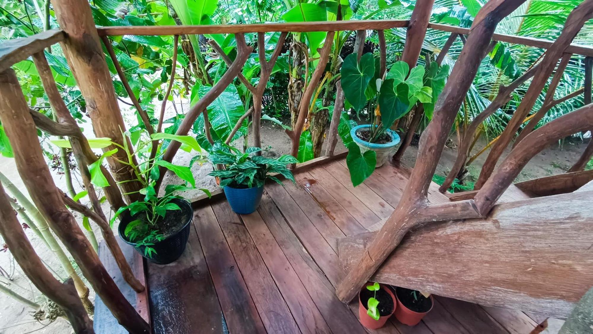 Вілла Sigiriya Rock View Tree House Екстер'єр фото