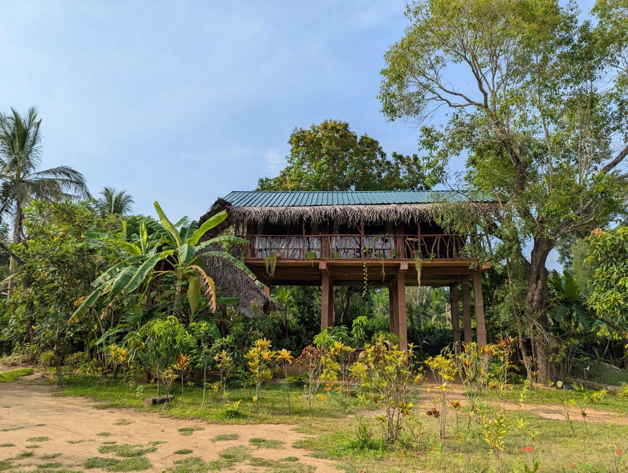 Вілла Sigiriya Rock View Tree House Екстер'єр фото